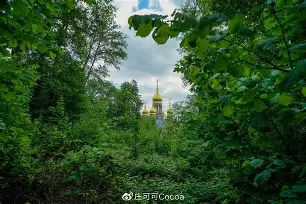 关于威斯巴登的失利:王室红白军团的颓势的信息 关于威斯巴登的失利:王室红白军团的颓势的信息