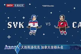 斯洛伐克团队斩获头名，实现突破