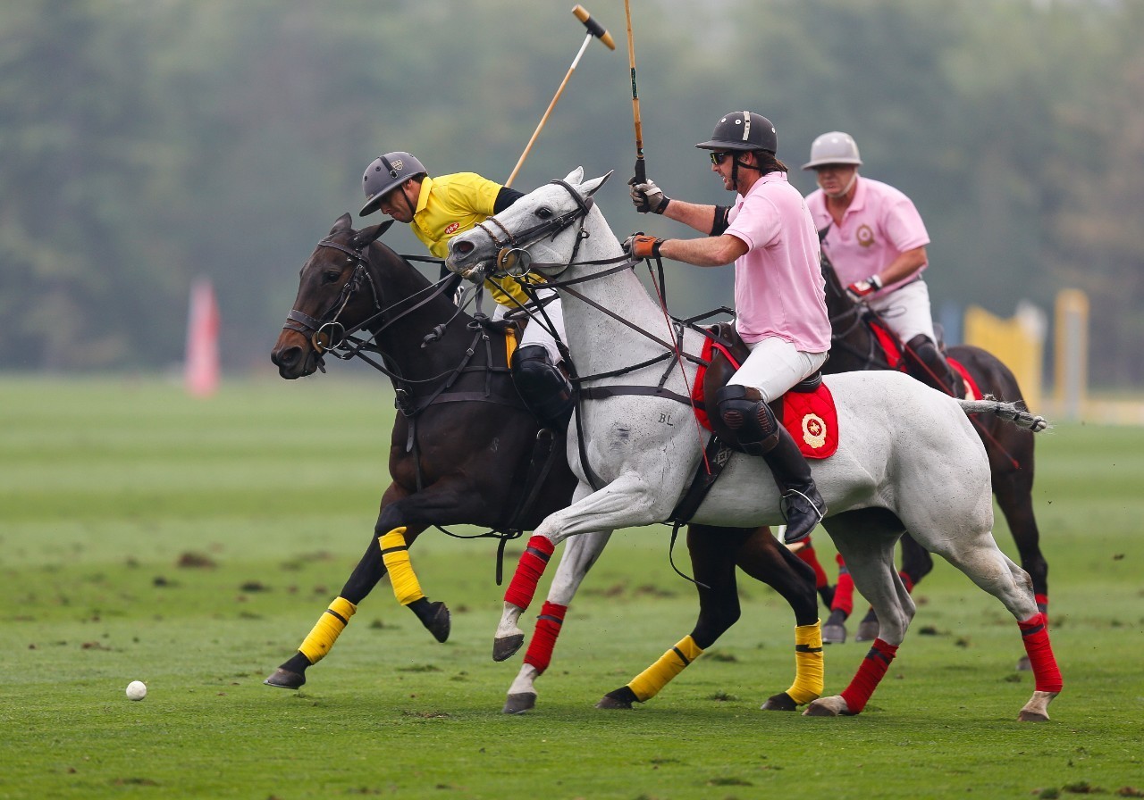 包含球场戏剧性一幕,翻转形势成为看点的词条 包含球场戏剧性一幕,翻转形势成为看点的词条